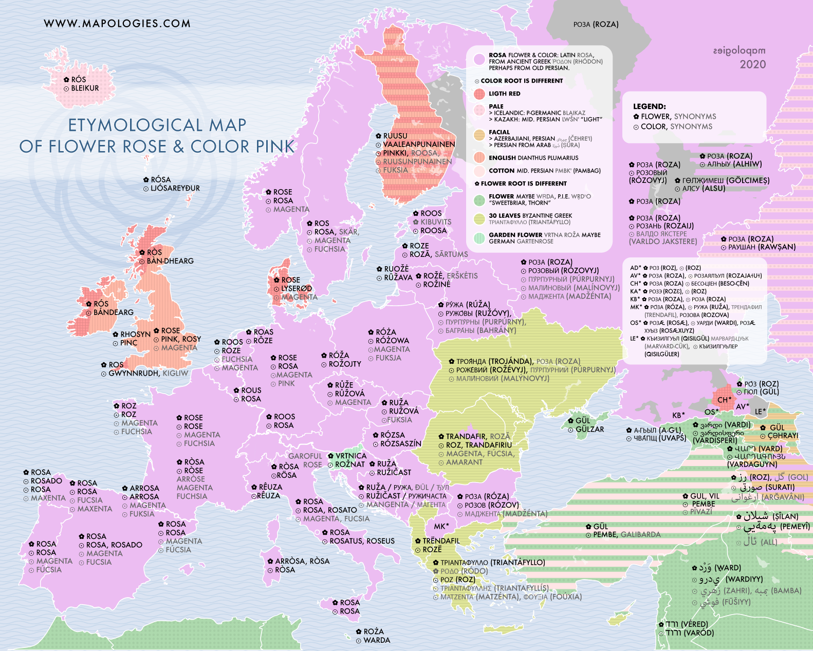 Etymological map of pink, the color, and rose, the flower, in several foreign languages
