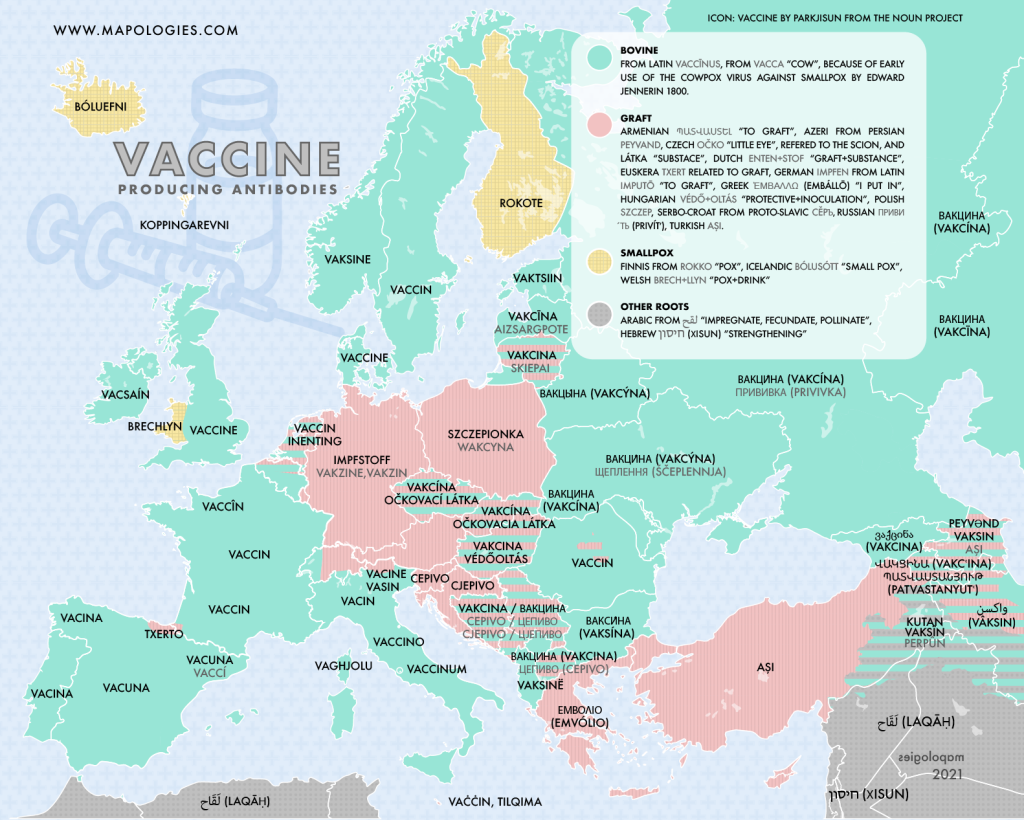 Map of the word vaccine in different languages