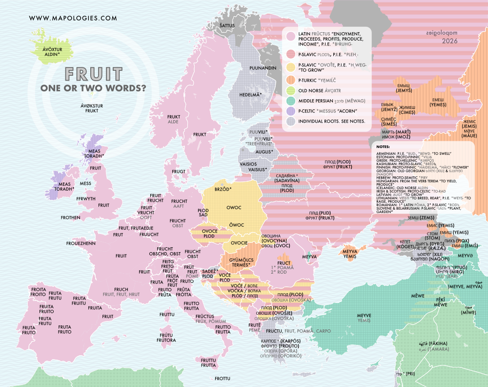 Etymology map of fruit