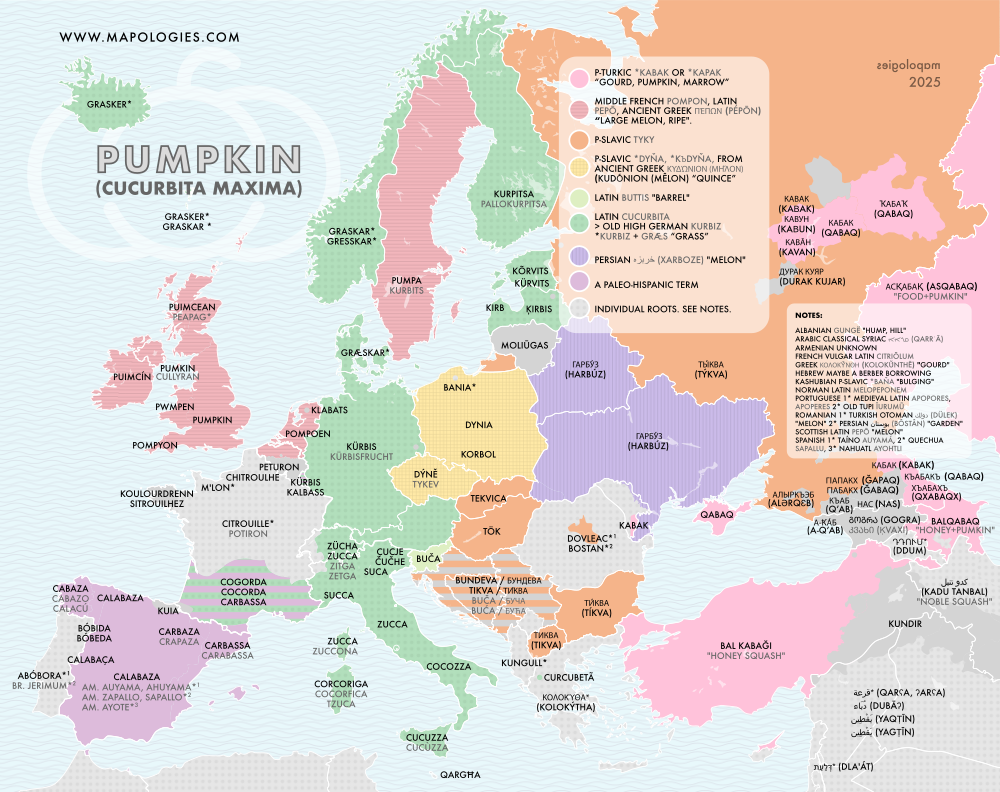 etymology map of pumpkin (cucurbita maxima)