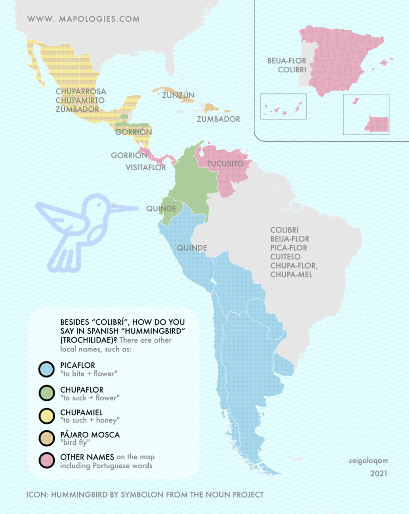 Map of the synonyms of "colibrí" (hummingbird) in the different varieties of Spanish