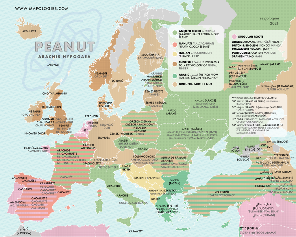 Etymology map of the word "peanut" in several European languages