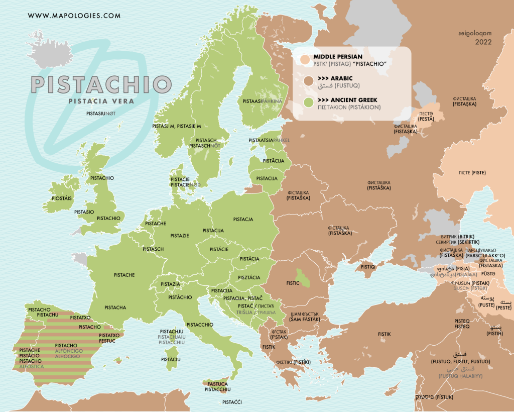 Etymology map of the nut "pistachio" (pistacia vera) in several European languages