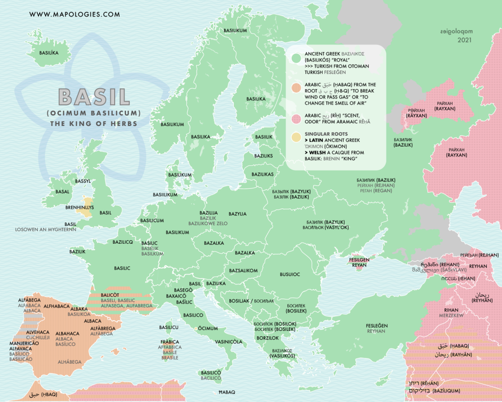 Etymology map of "Basil" (Ocium basilicum) in several languages