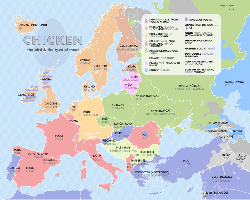 Etymology map of the word chicken, the bird and the meat, in different languages