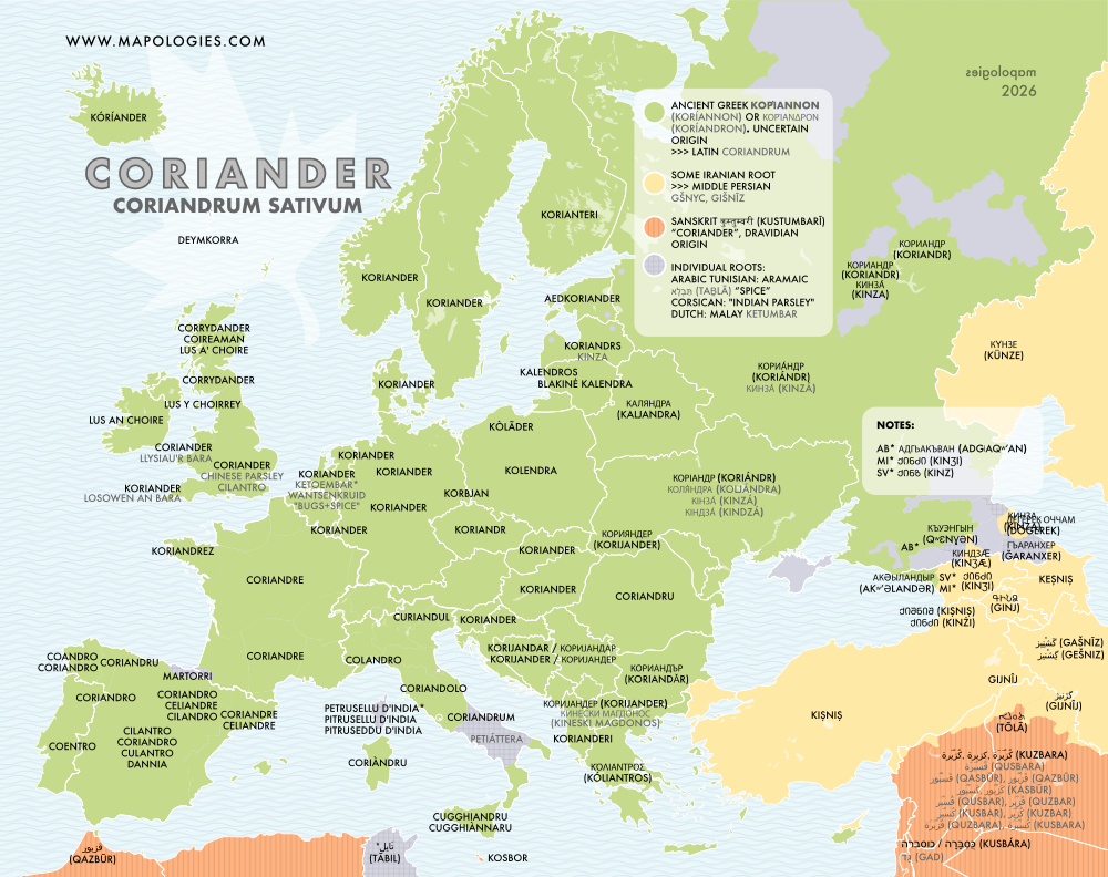 Etymology map of coriander (coriandrum sativum)