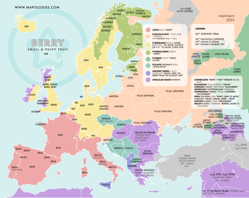 Etymology map of the word "berry" in several European languages