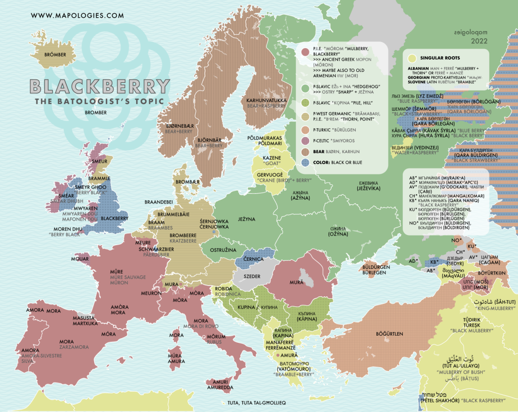 Etymology map of the word "blackberry" in several European languages