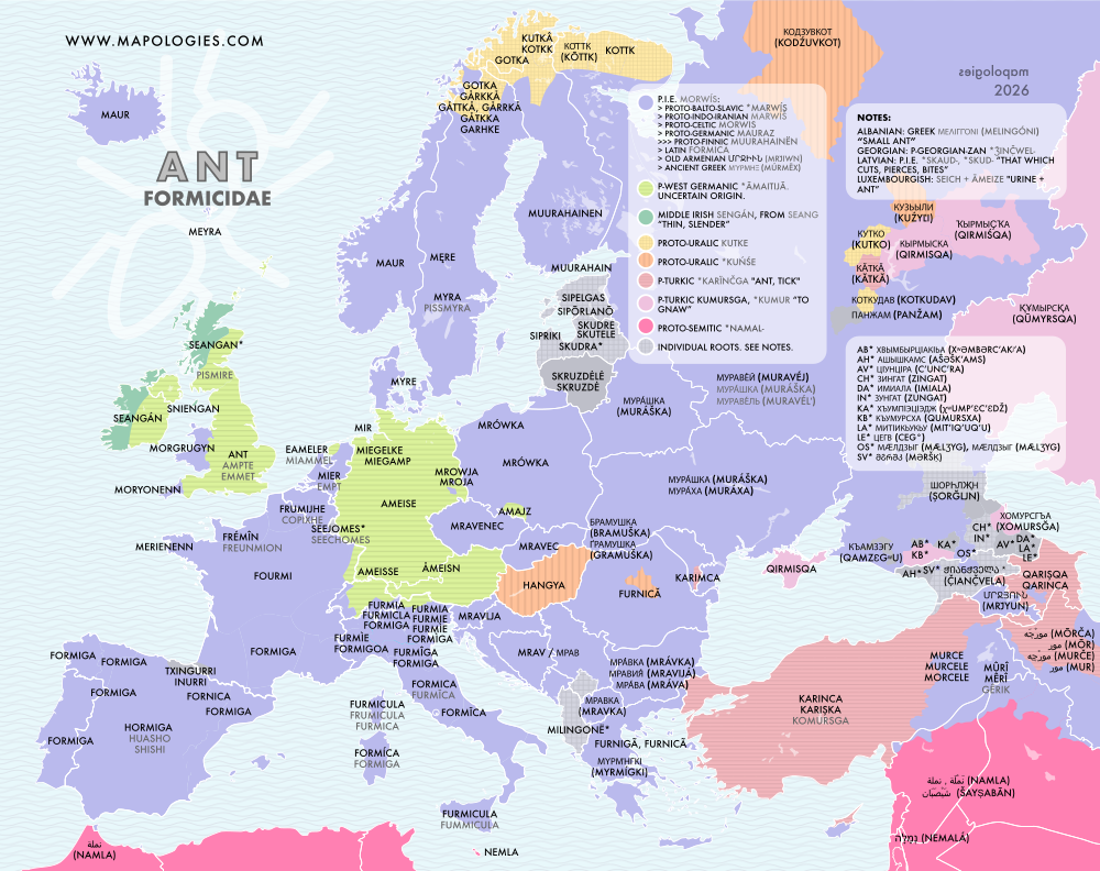 Etymology map of ant (formicidae) in different languages
