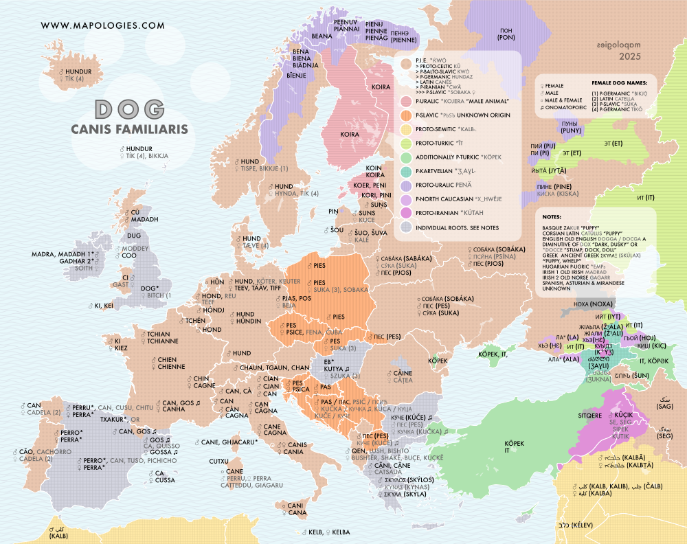 Etymology map of dog (canis familiaris)