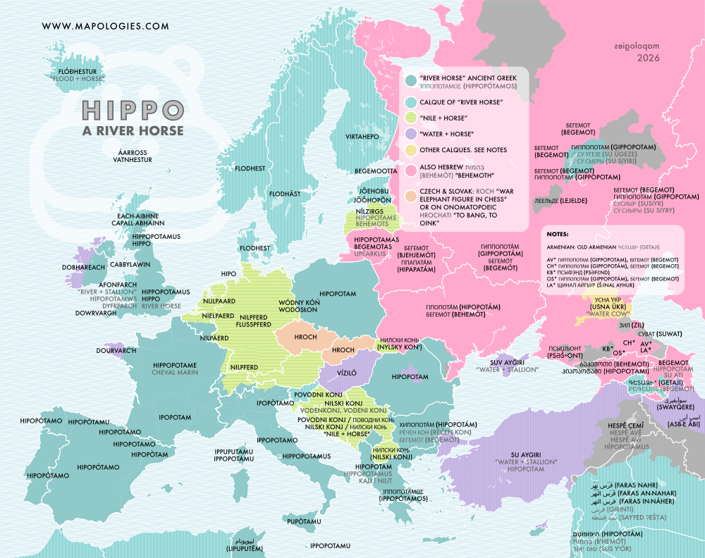 Etymology map of hippopotamus in several languages
