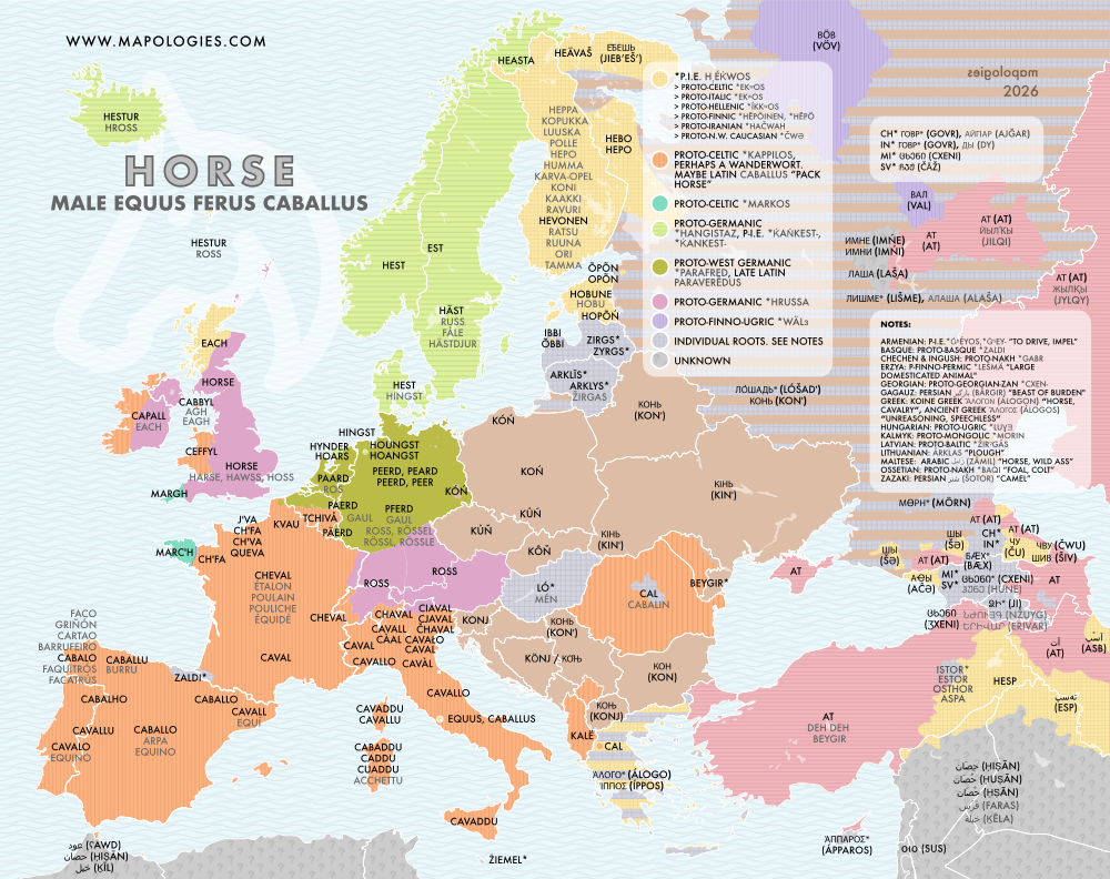 Etymology map of horse