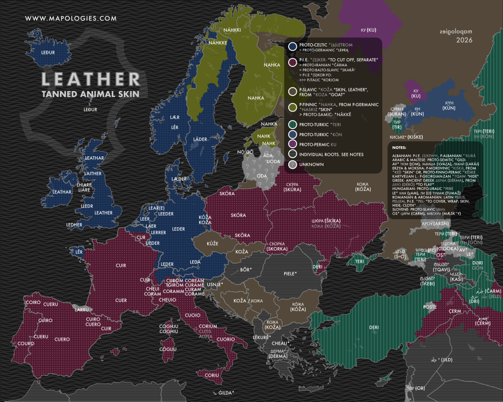 Etymology map of leather in several languages