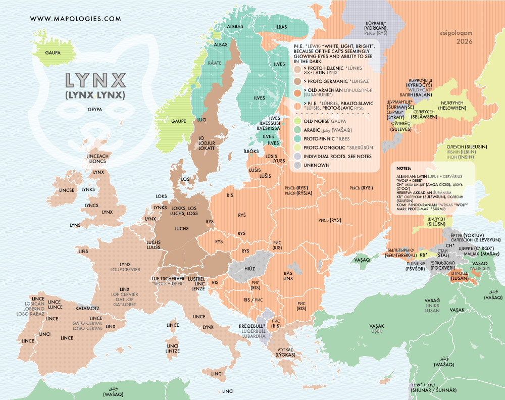 Etymology map of lynx