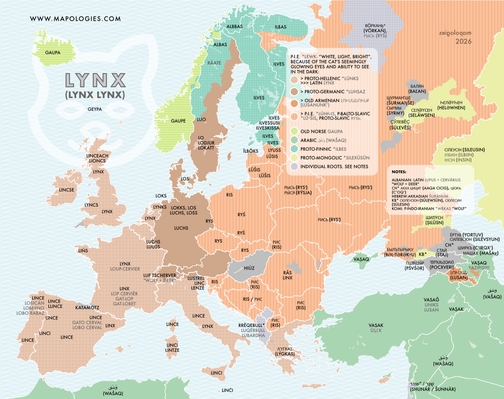 Etymology map of  lynx in several languages