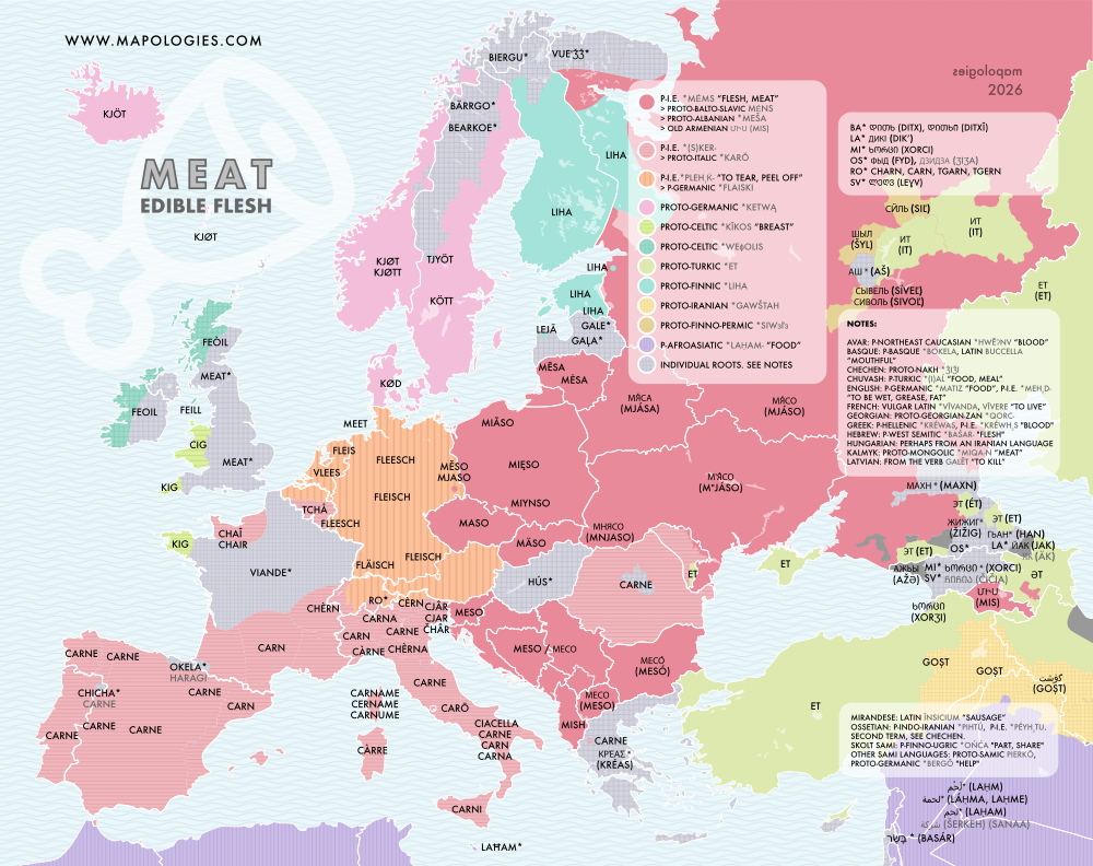 Etymology map of meat in several languages