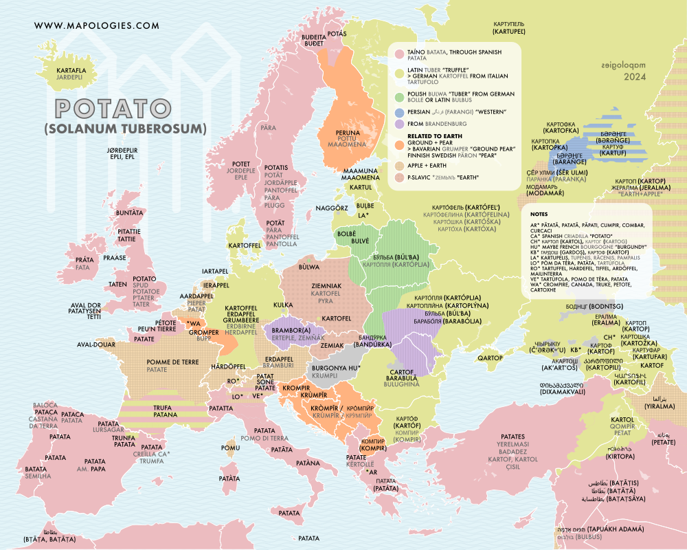 Etymology map of potato (solanum tuerosum) in several languages