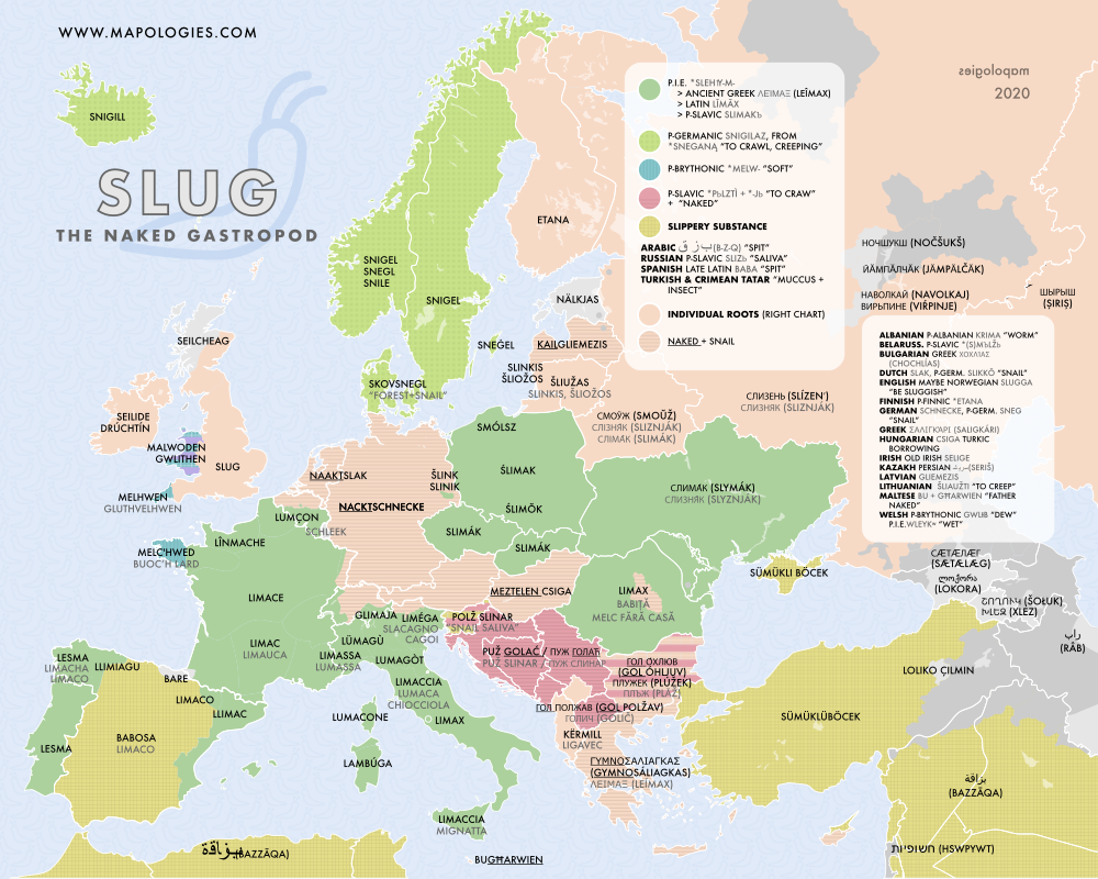 Etymology map of slug (gastropod)