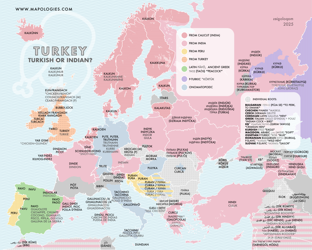 Etymology map of turkey (Meleagris gallopavo)