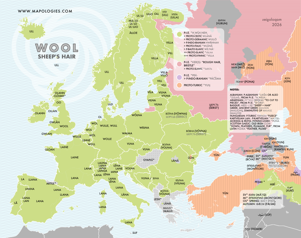 Etymology map of wool in several languages