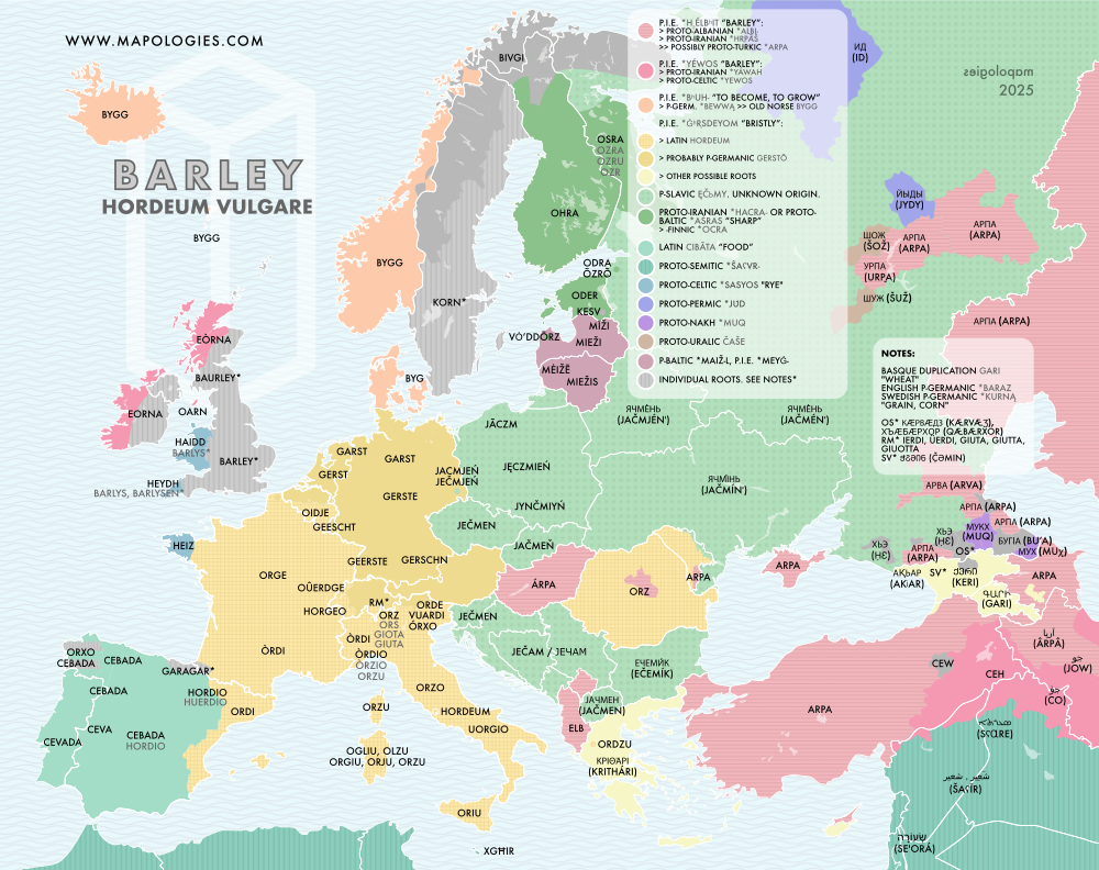 Etymology map of barley (hordeum vulgare)