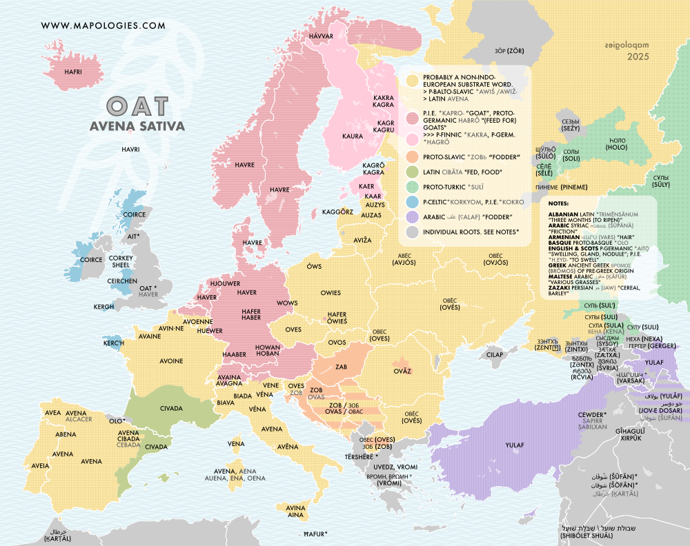 Etymology map of oats (avena sativa)