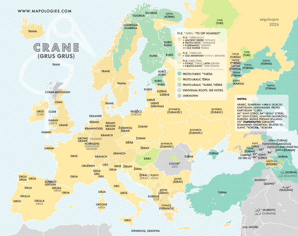 Etymology map of crane (grus grus)