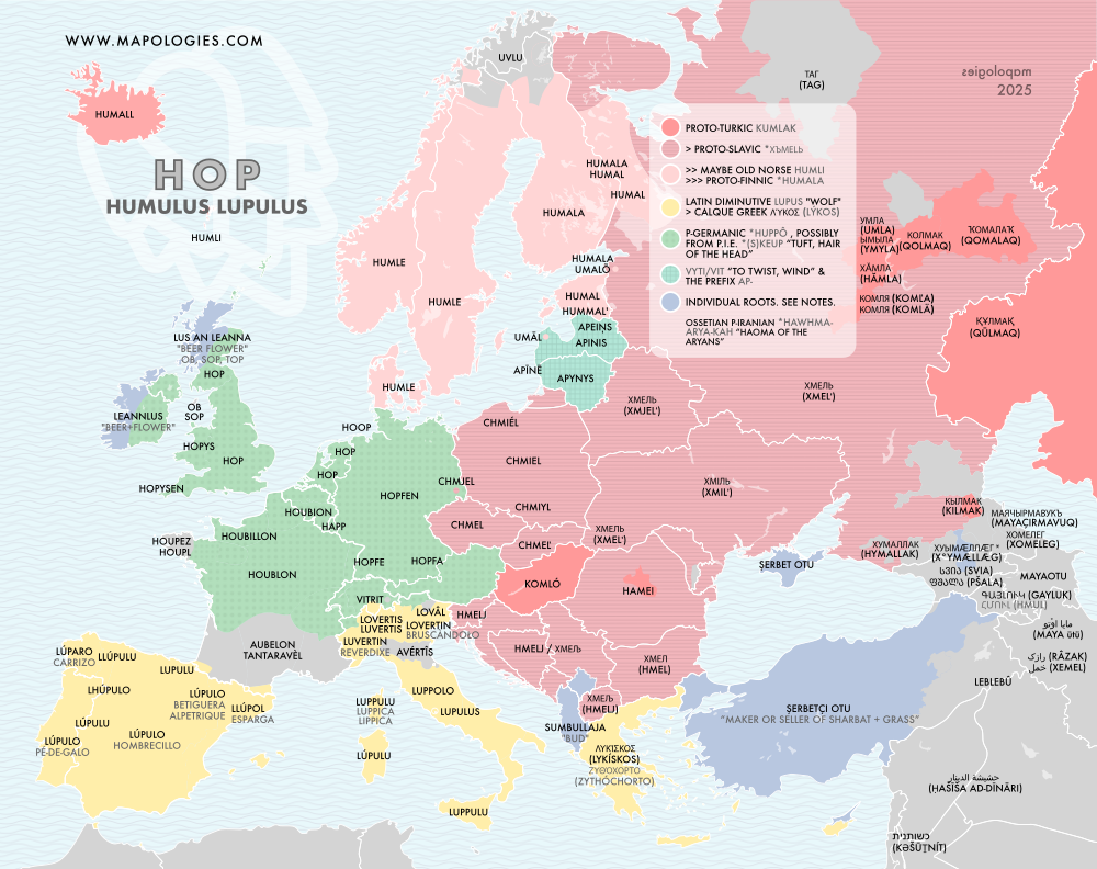 Etymology map of hops (humulus lupulus)