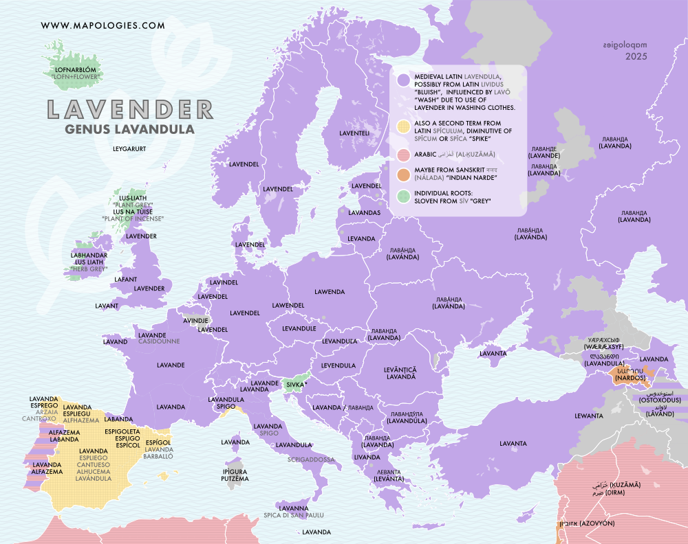 Etymology map of lavender