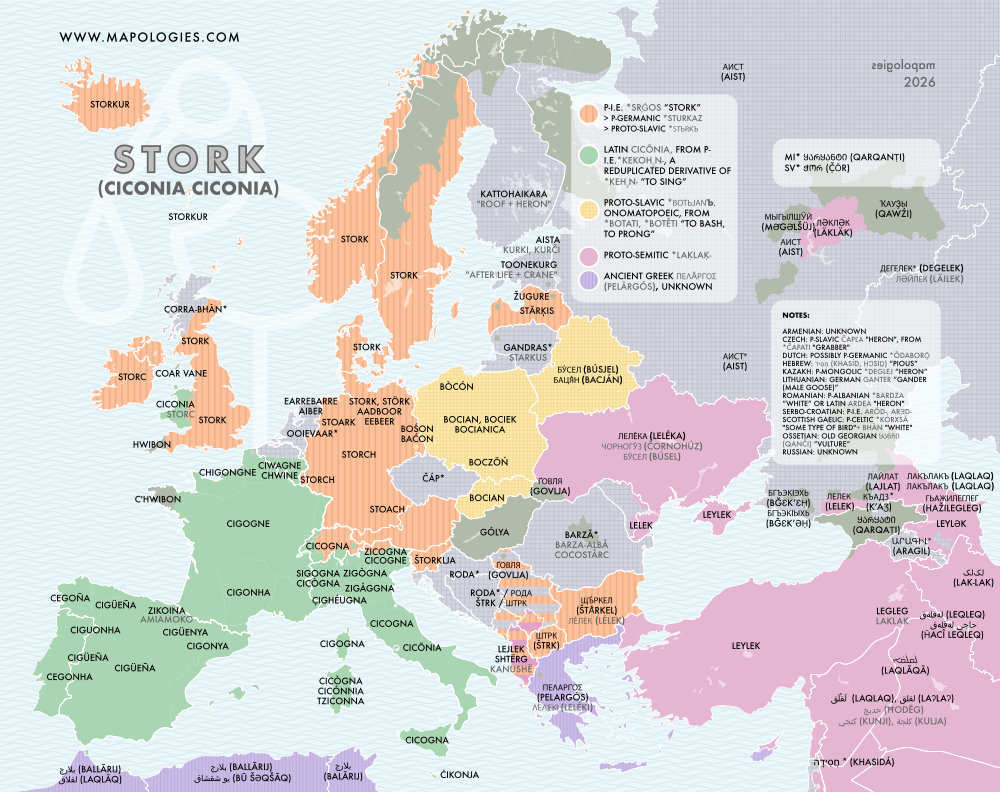 Etymology map of strork (ciconia)