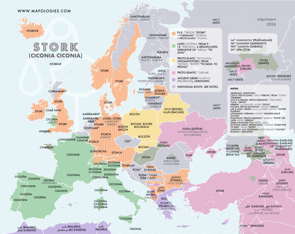 Etymology map of strork (ciconia)