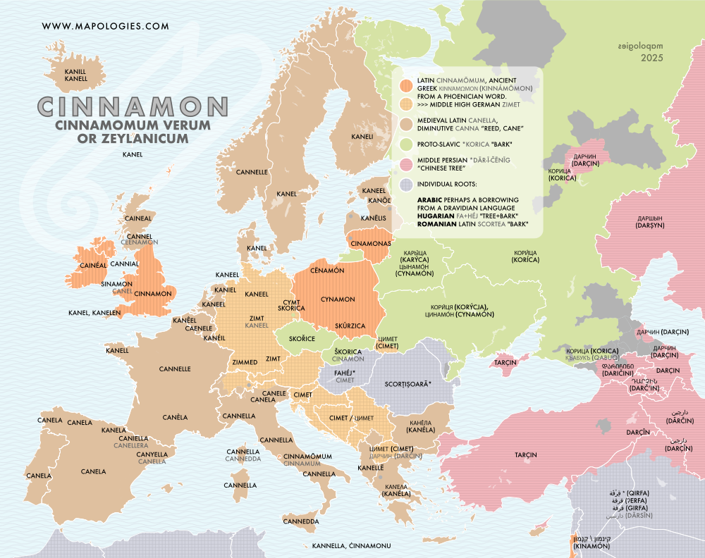 Etymology map of cinnamon