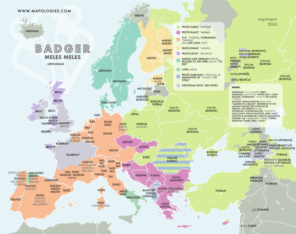 Etymology map of badger (meles meles) in several languages