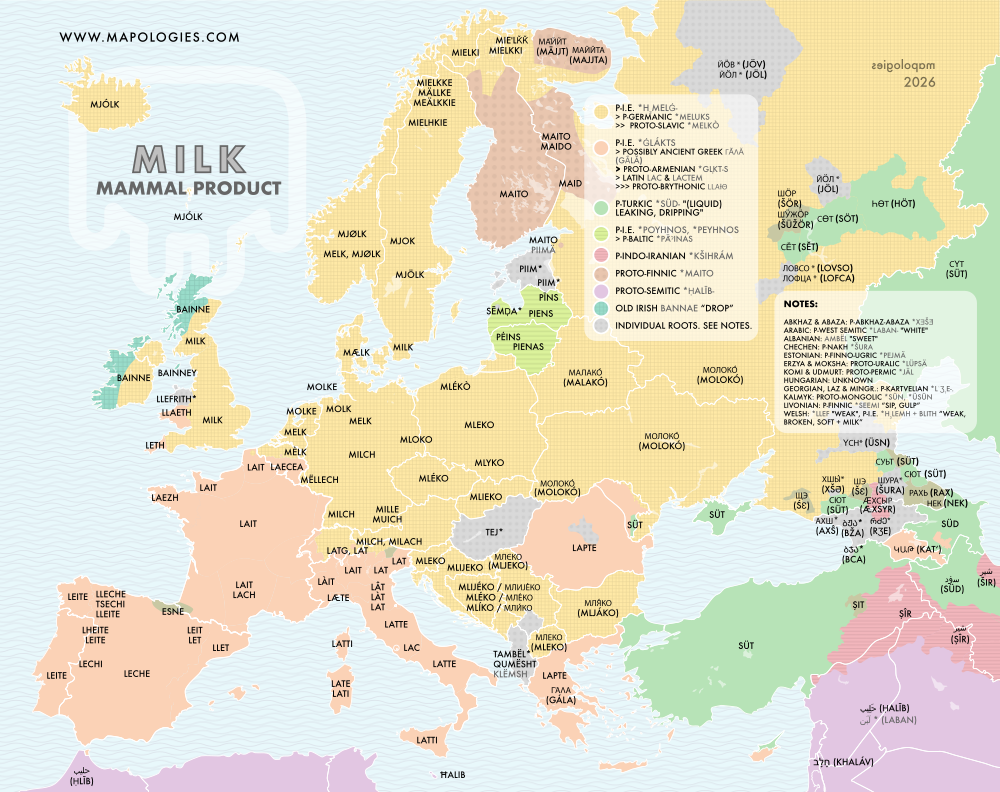 Etymology map of milk in several languages