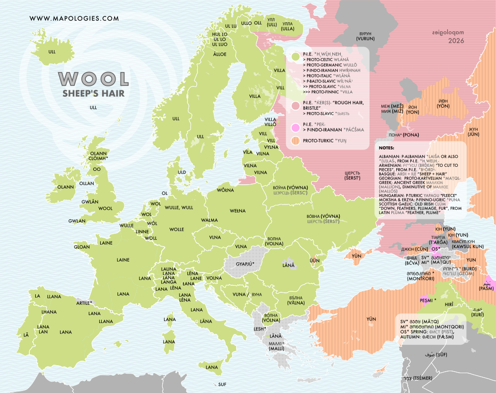 Etymology map of wool in several languages