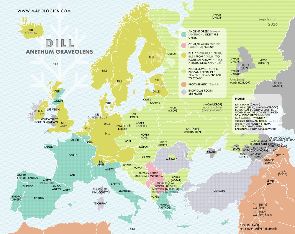 Etymology map of "Dill" (Anethum graveolens) in several languages