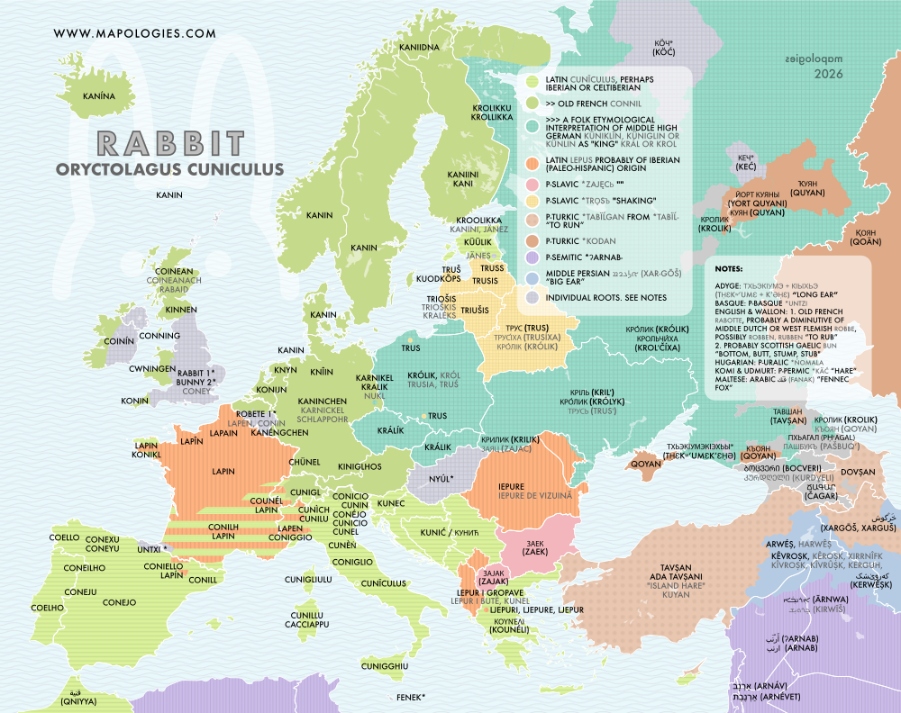 Etymology map of rabbit (Oryctolagus cuniculus)