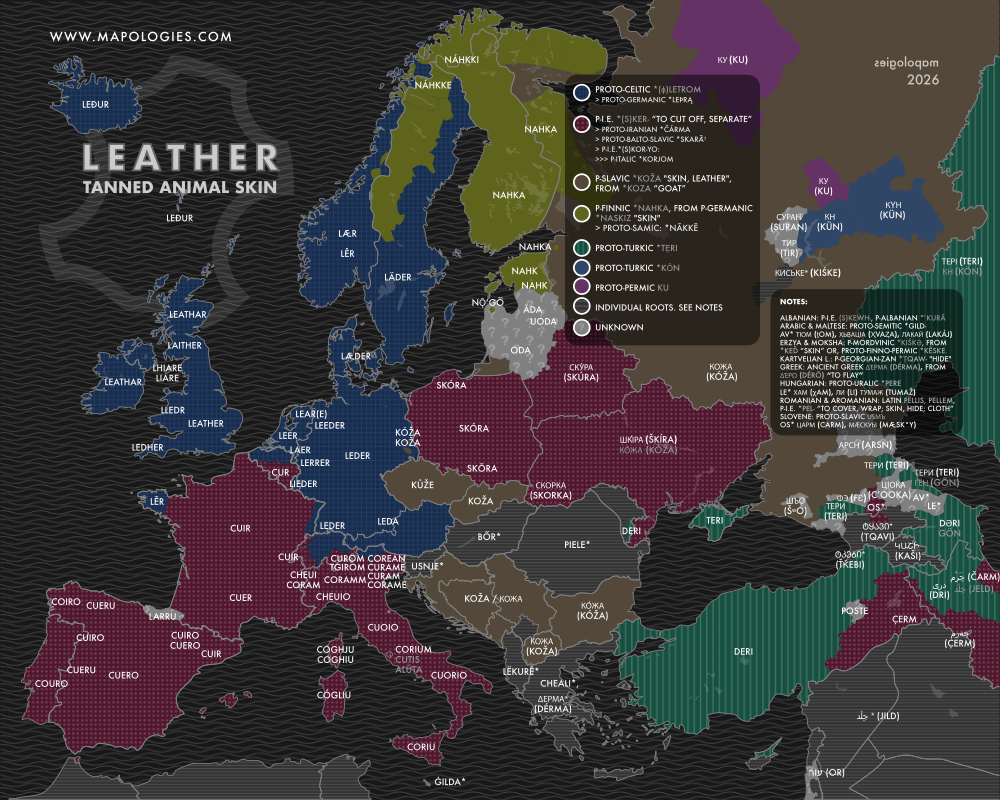 Etymology map of leather in several languages