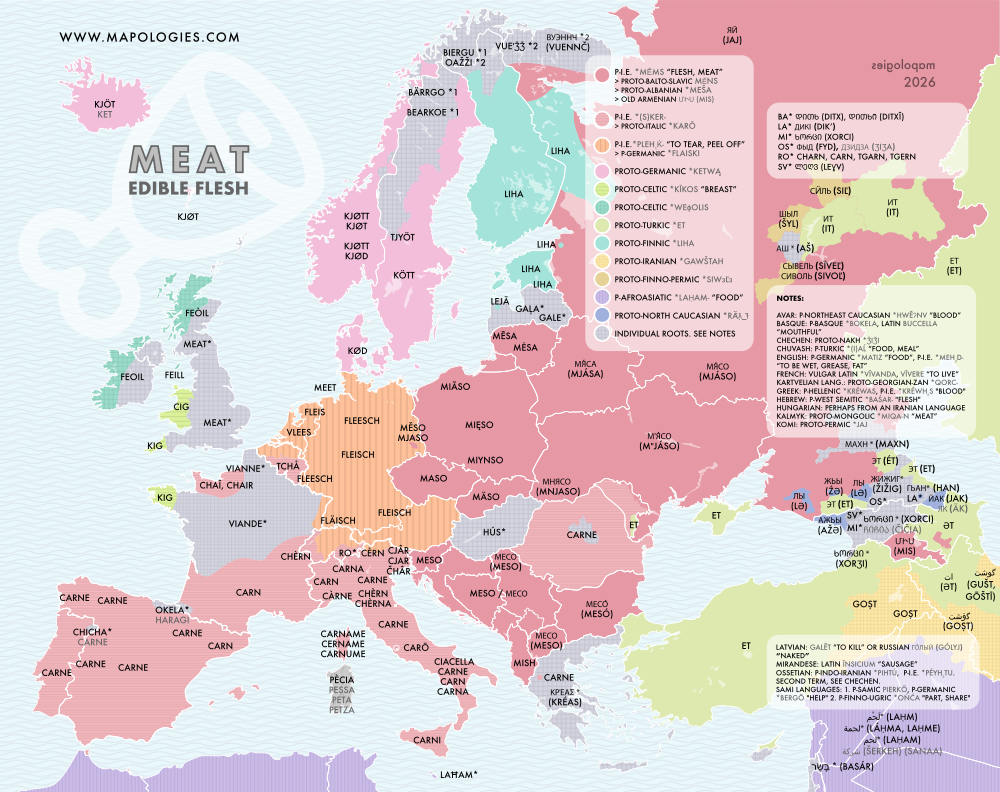 Etymology map of meat in several languages